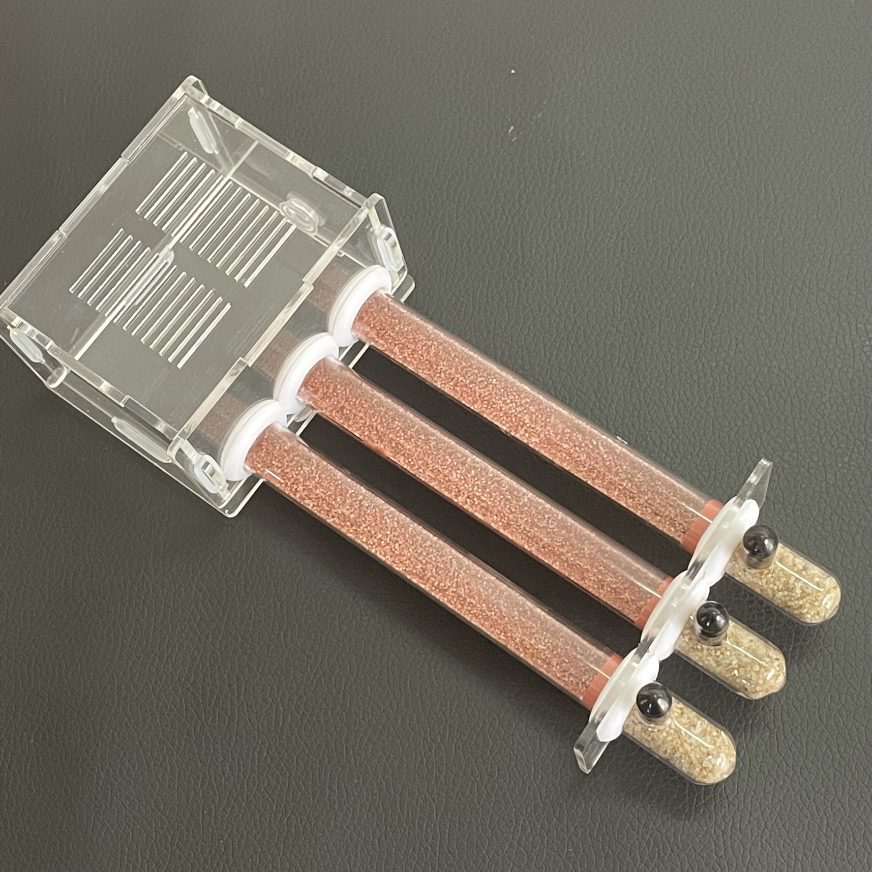 Begonia Rex - 15-150mm Gypsum Test Tube Nest with