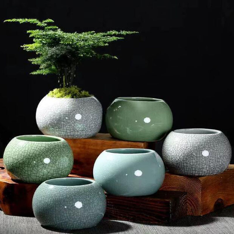 Echeveria Succulent - Creative Handmade Geyao Ice Crack Round