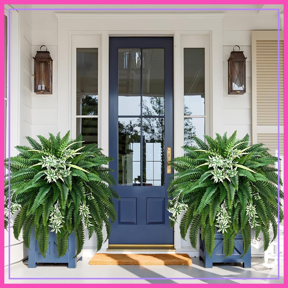 Spider Plant Hanging - 2 Pcs 60