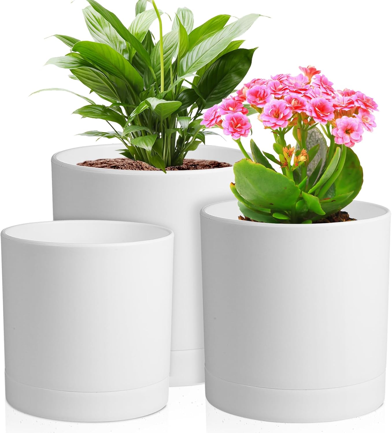 Aloe Vera Pot - 3-Pack Cylinder Flower Pots with Saucers,