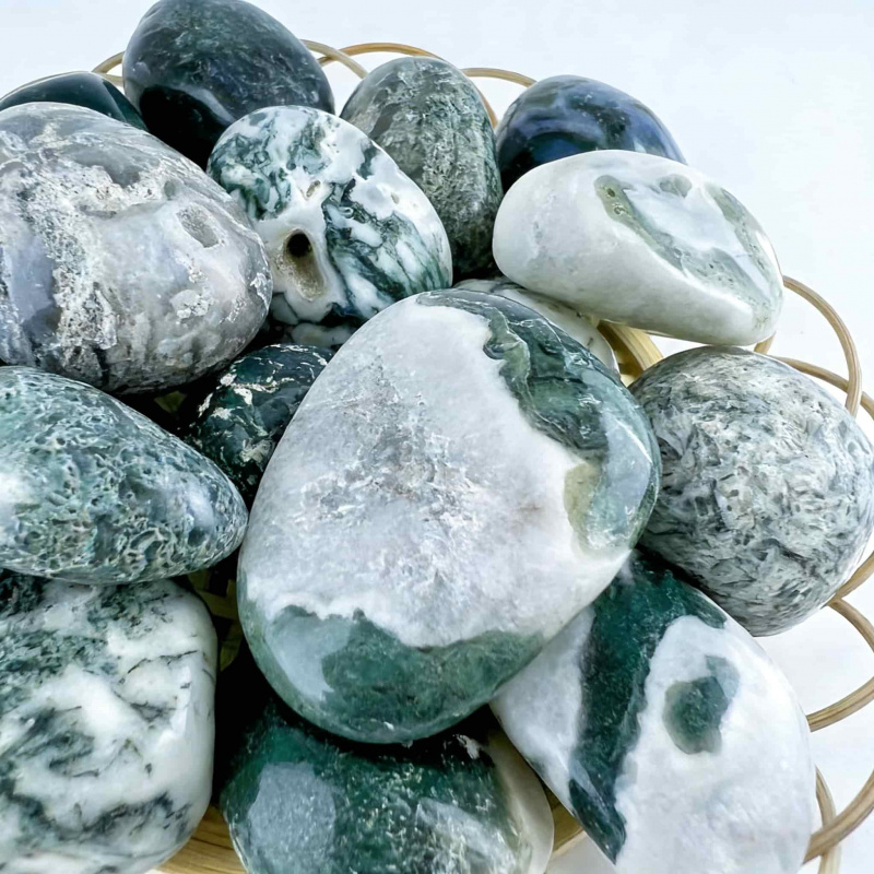 Natural Moss Agate Crushed Sto - Echeveria Succulent review and price
