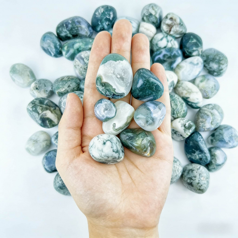 Natural Moss Agate Crushed Sto - Echeveria Succulent review and price