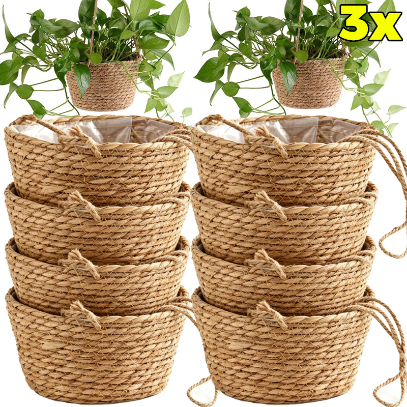 1/3x Rope Hanging Planter Bask - Spider Plant Hanging review and price