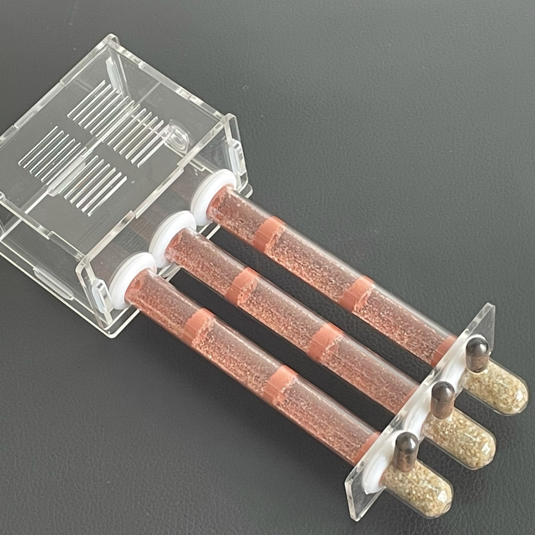 15-150mm Gypsum Test Tube Nest - Begonia Rex review and price