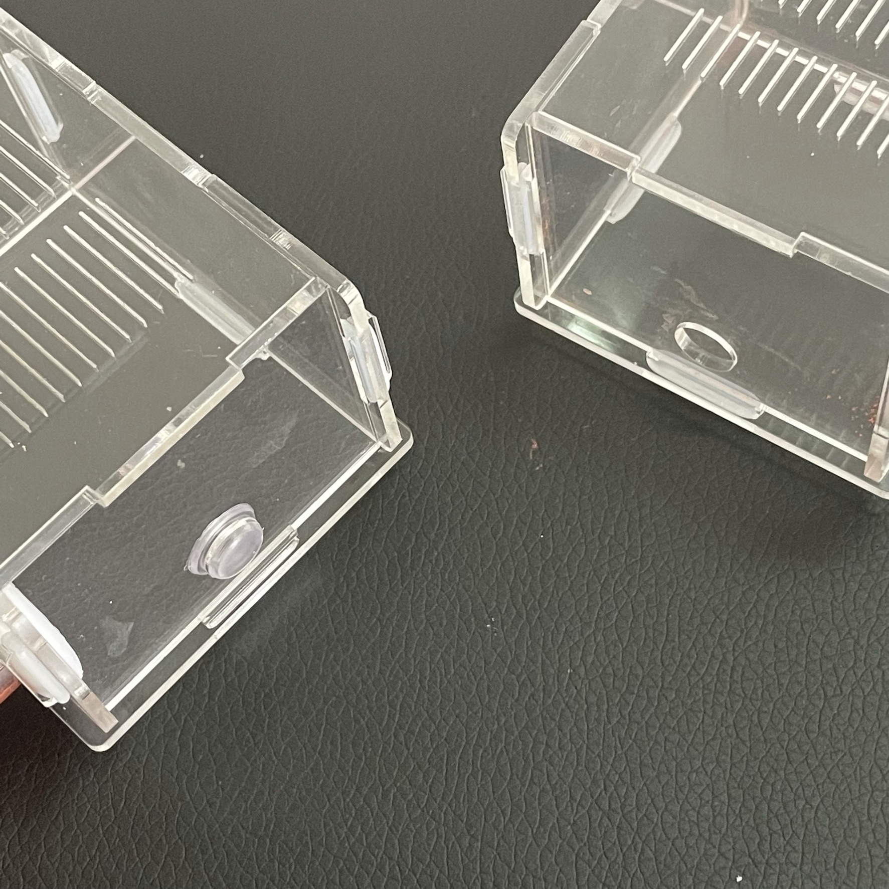 15-150mm Gypsum Test Tube Nest - Begonia Rex review and price