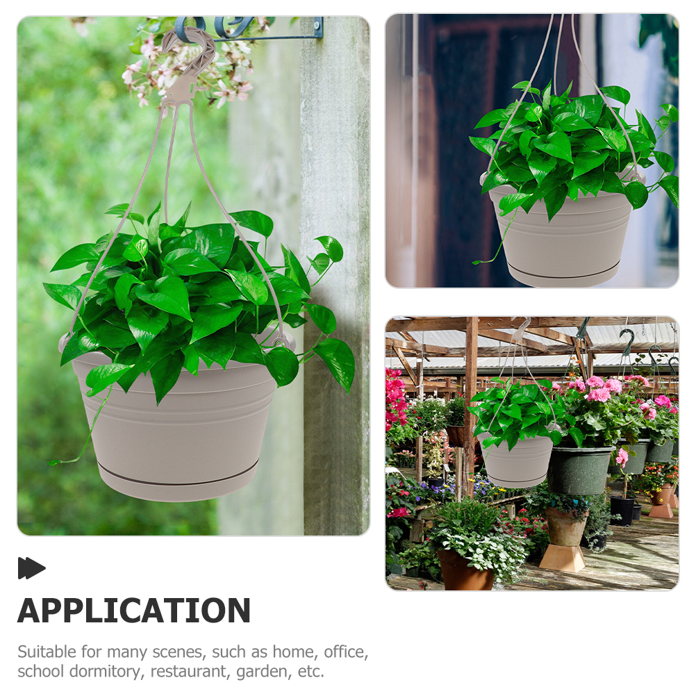 2pcs Hanging Planter Plastic F - Spider Plant Hanging review and price