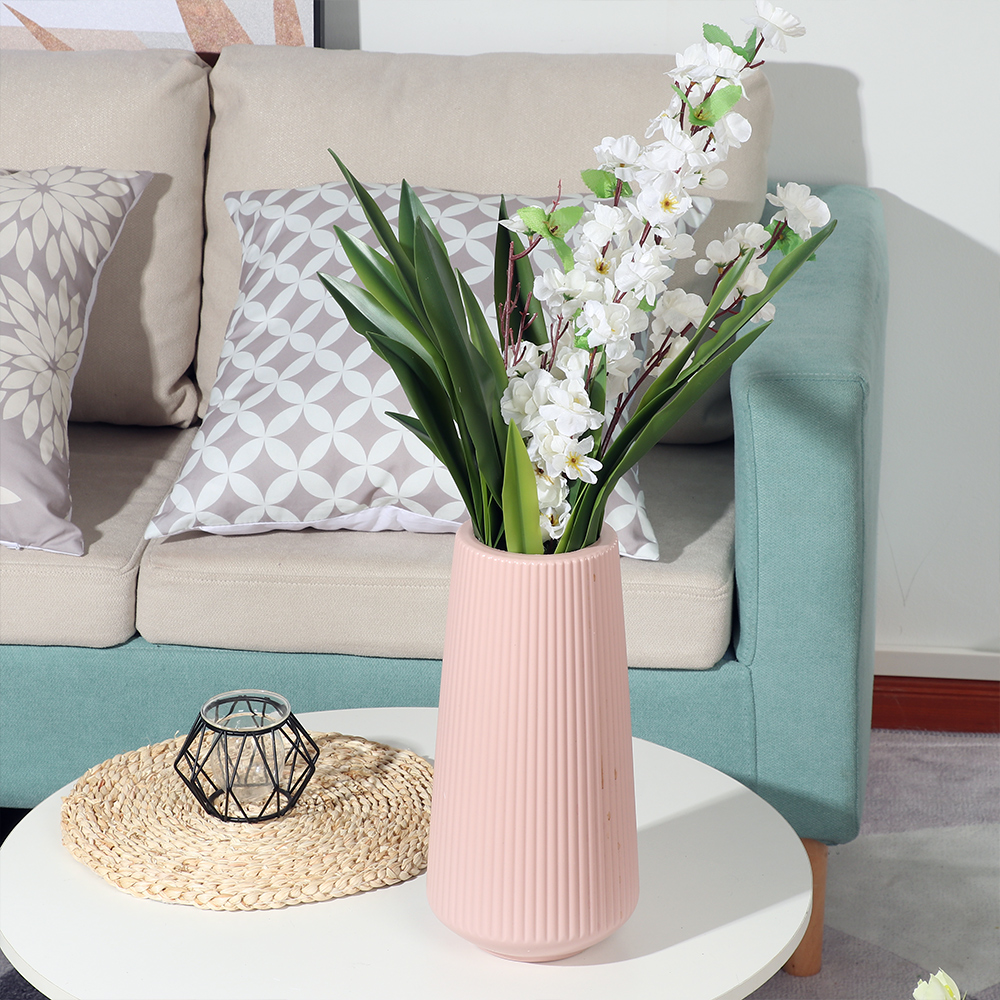 New Party Supplies High Grade  - Dracaena Marginata review and price