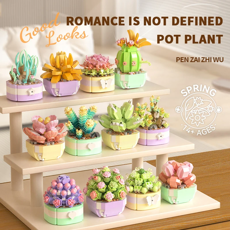 Flower Succulents Building Blo - Echeveria Succulent review and price