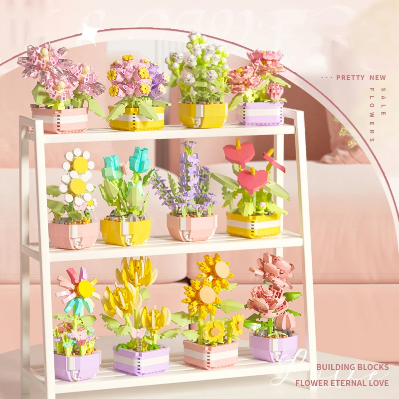 Flower Succulents Building Blo - Echeveria Succulent review and price