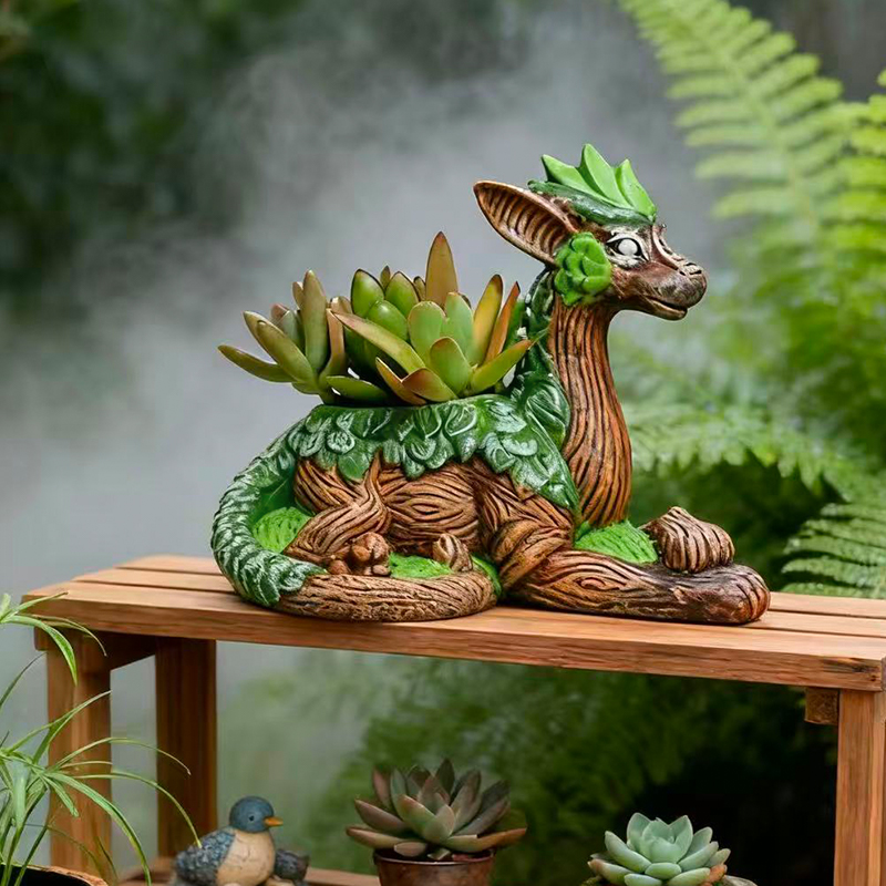 Creative Dragon Tree Flower Po - Echeveria Succulent review and price