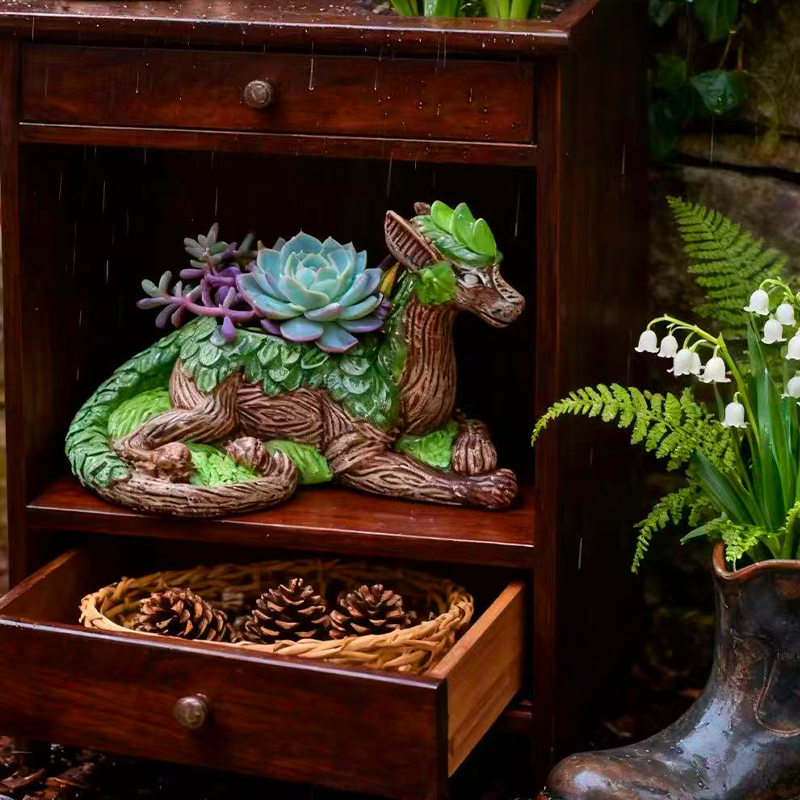 Creative Dragon Tree Flower Po - Echeveria Succulent review and price