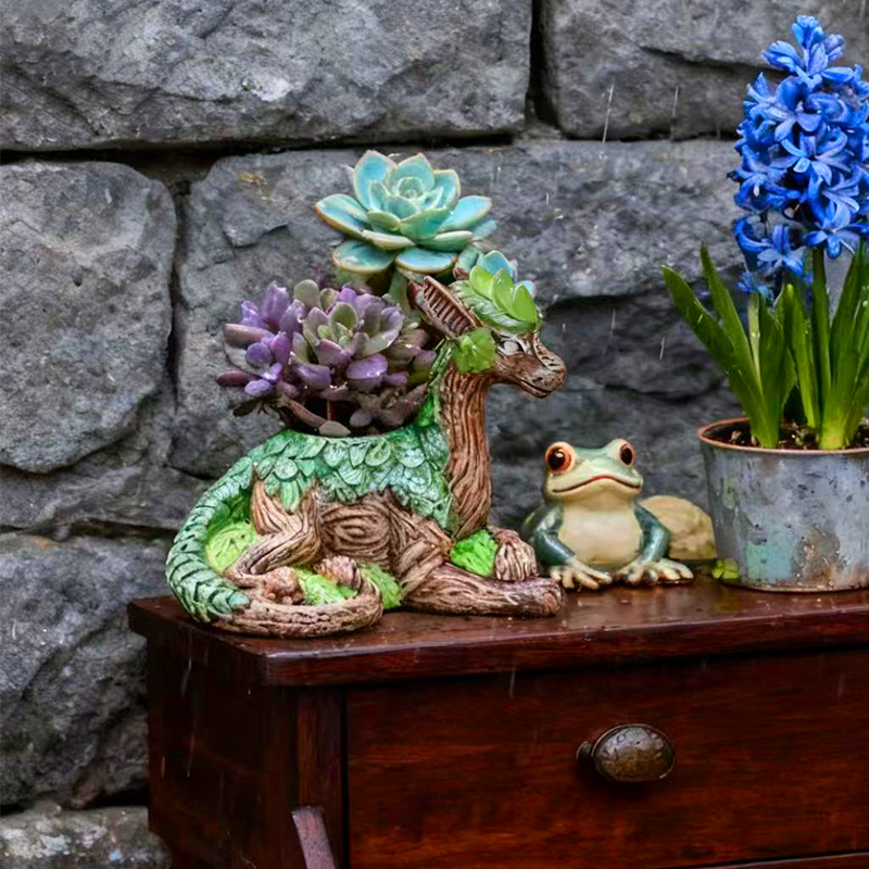 Creative Dragon Tree Flower Po - Echeveria Succulent review and price