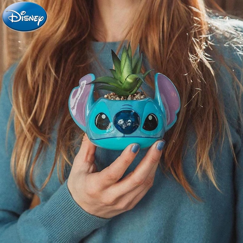Disney Stitch Decorations Cute - Echeveria Succulent review and price