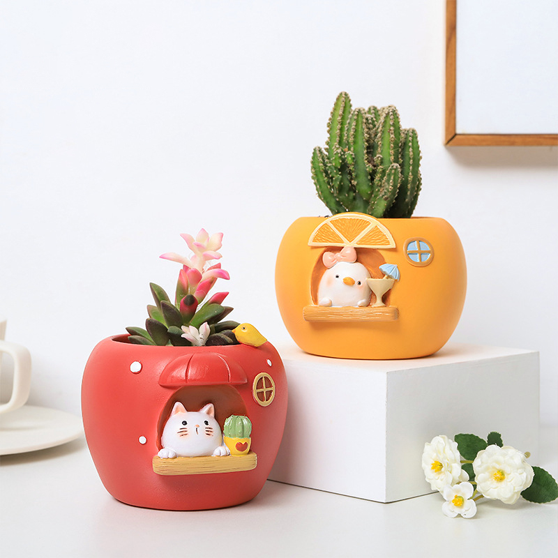 Cute Fruit Themed Planters for - Echeveria Succulent review and price