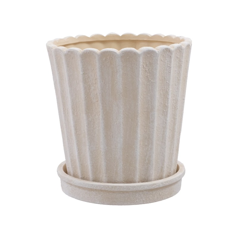 8 Inch Shell Planter Cream Cer - Aloe Vera Pot review and price