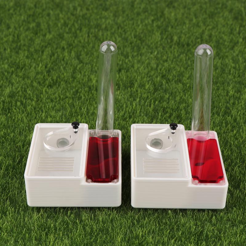【Peace】3D Printed Ant Farm Que - Begonia Rex review and price