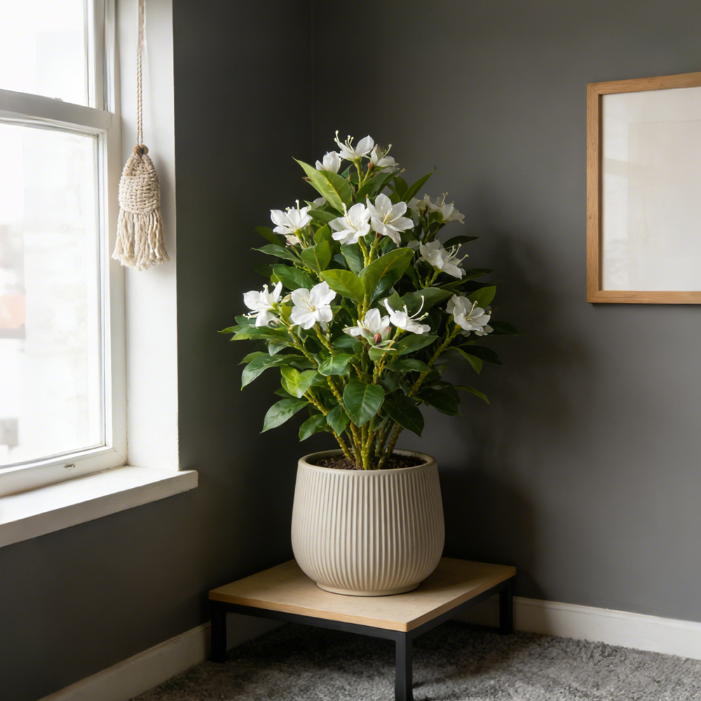 21-40cm Artificial Azalea Flow - Ficus Lyrata Tree review and price