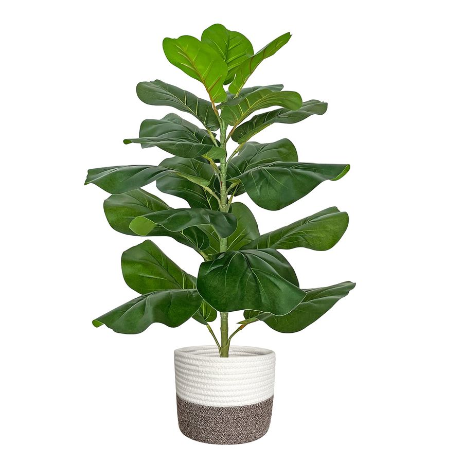 Artificial Fiddle Leaf Fig Tre - Ficus Lyrata Tree review and price