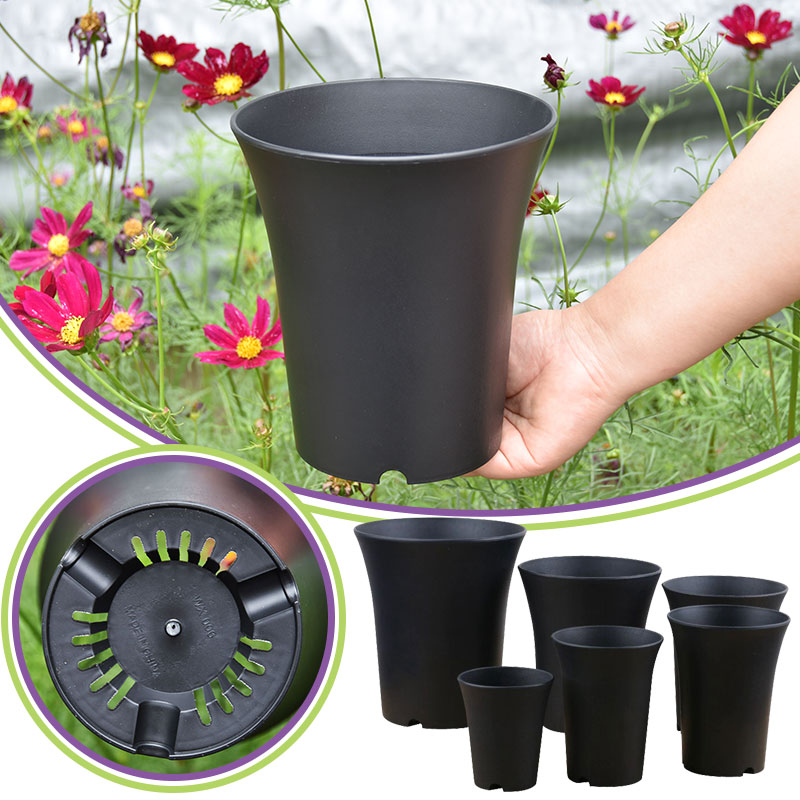 10pcs Thickened Flowerpot High - Echeveria Succulent review and price