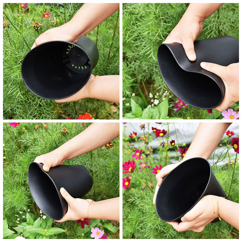 10pcs Thickened Flowerpot High - Echeveria Succulent review and price