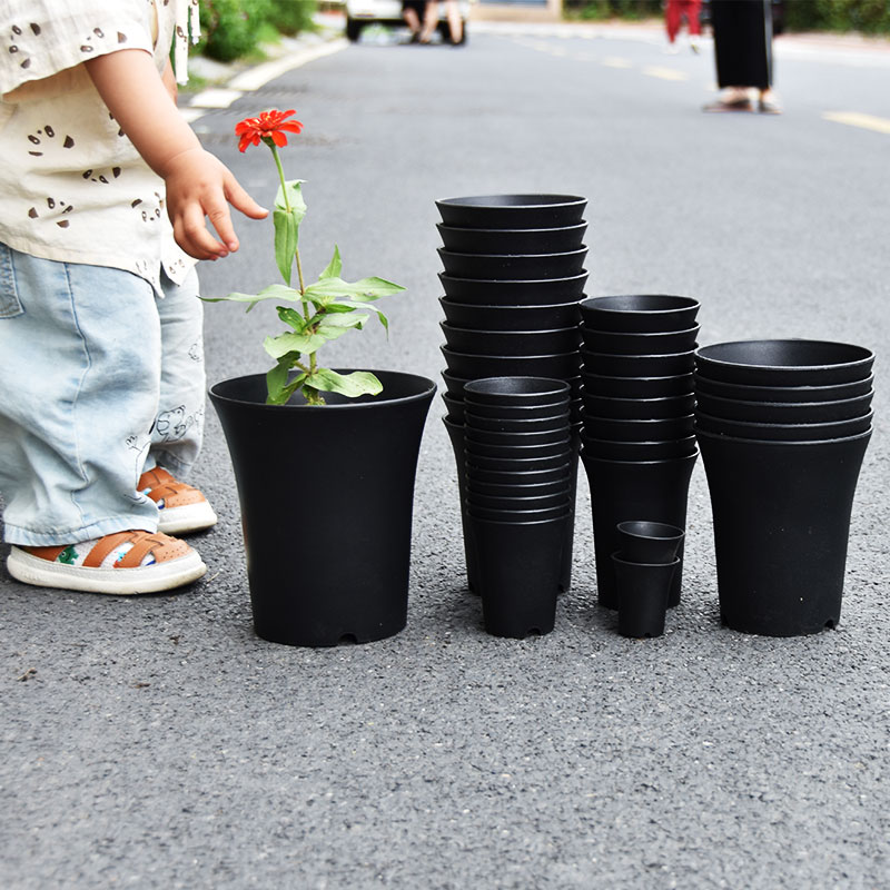 10pcs Thickened Flowerpot High - Echeveria Succulent review and price