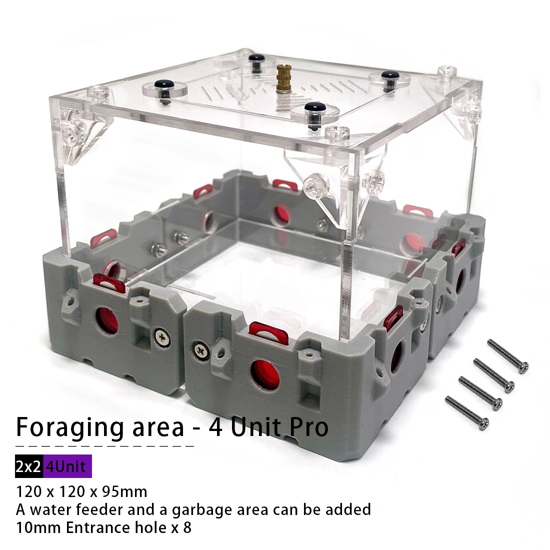 【Lego】Expandable Modular Formi - Begonia Rex review and price