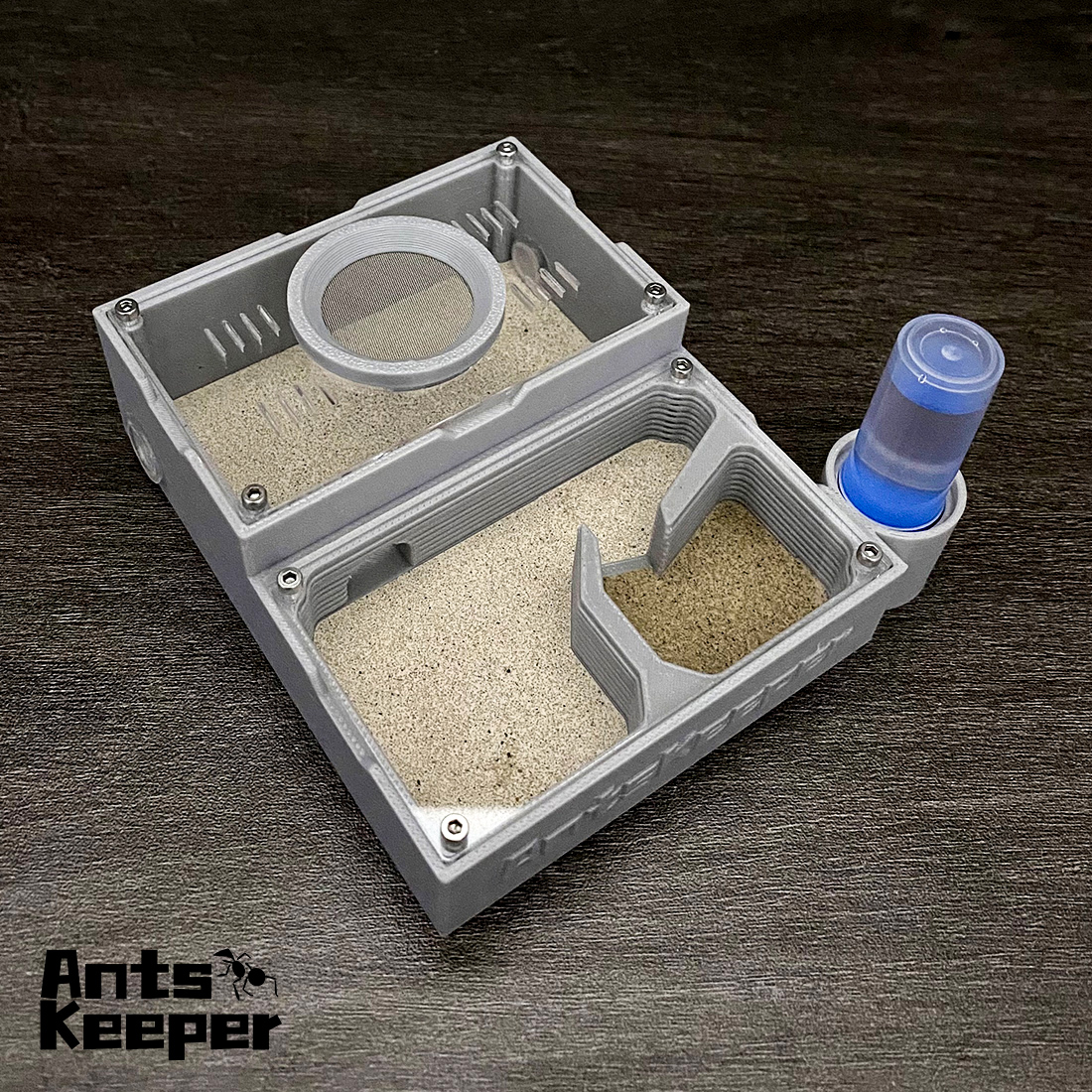 【One Section】Flat Ant Farm for - Begonia Rex review and price