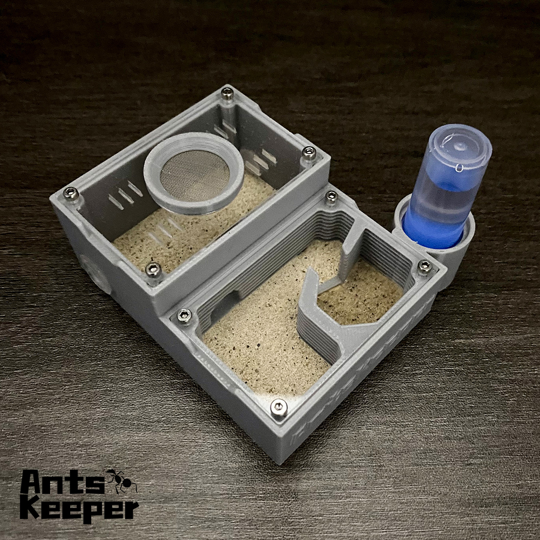 【One Section】Flat Ant Farm for - Begonia Rex review and price
