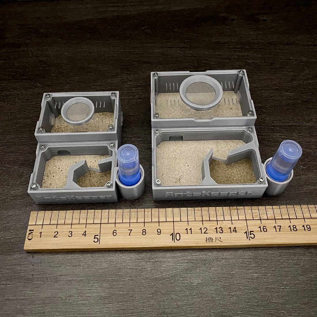 【One Section】Flat Ant Farm for - Begonia Rex review and price