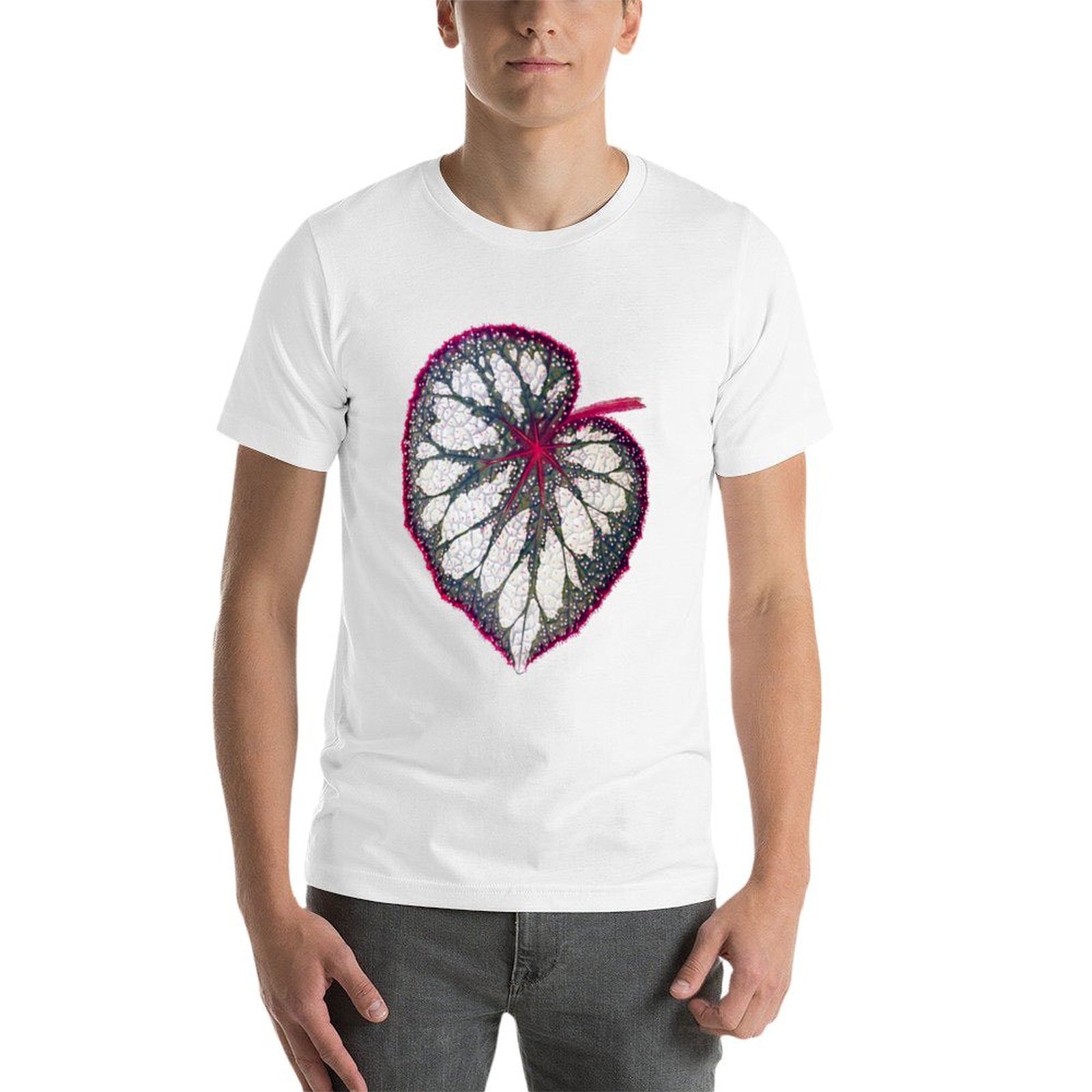 Begonia rex T-Shirt man graphi - Begonia Rex review and price