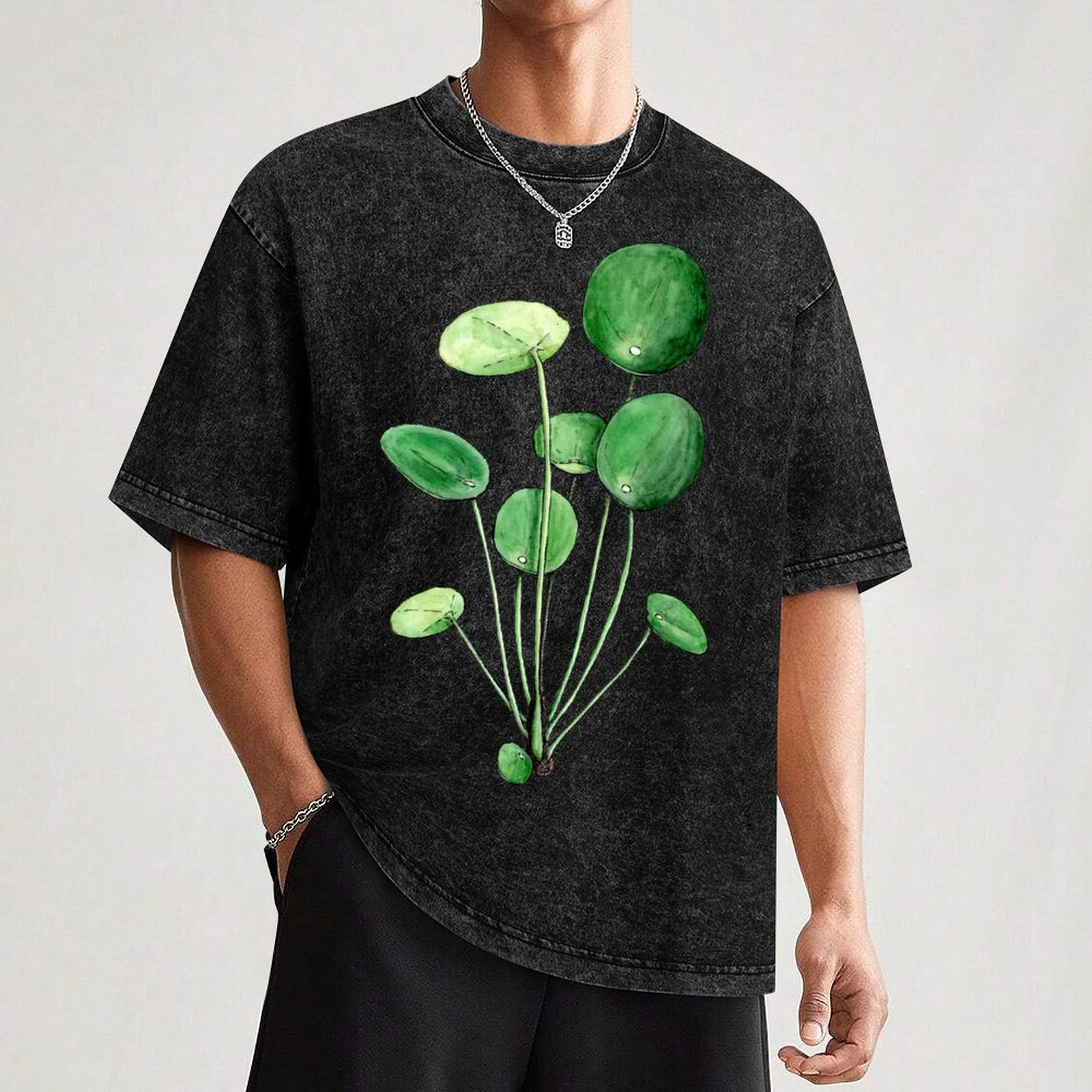 Pilea Peperomioides - Watercol - Pilea Peperomioides review and price