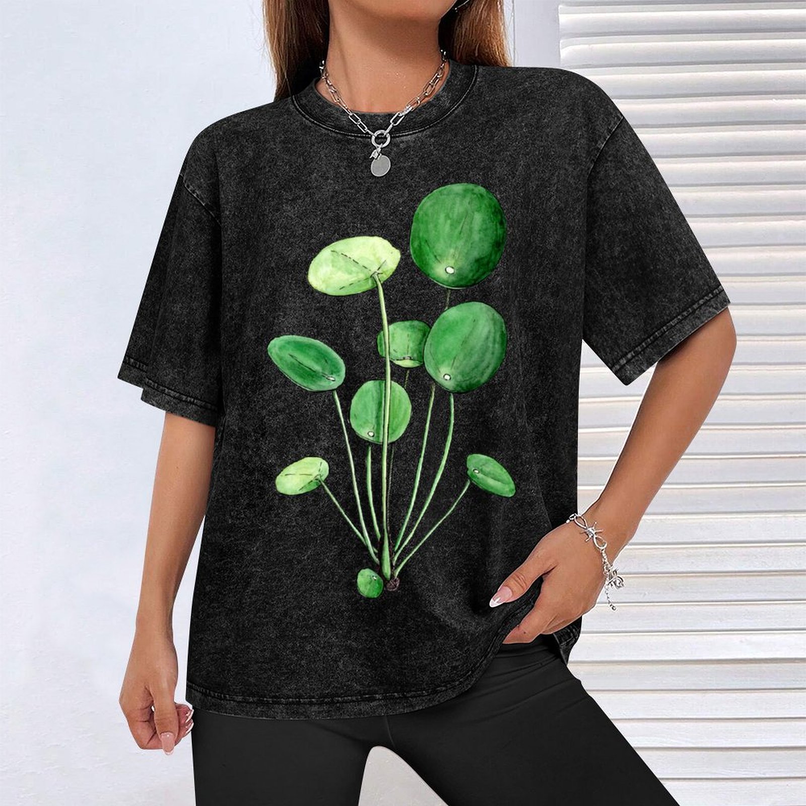 Pilea Peperomioides - Watercol - Pilea Peperomioides review and price