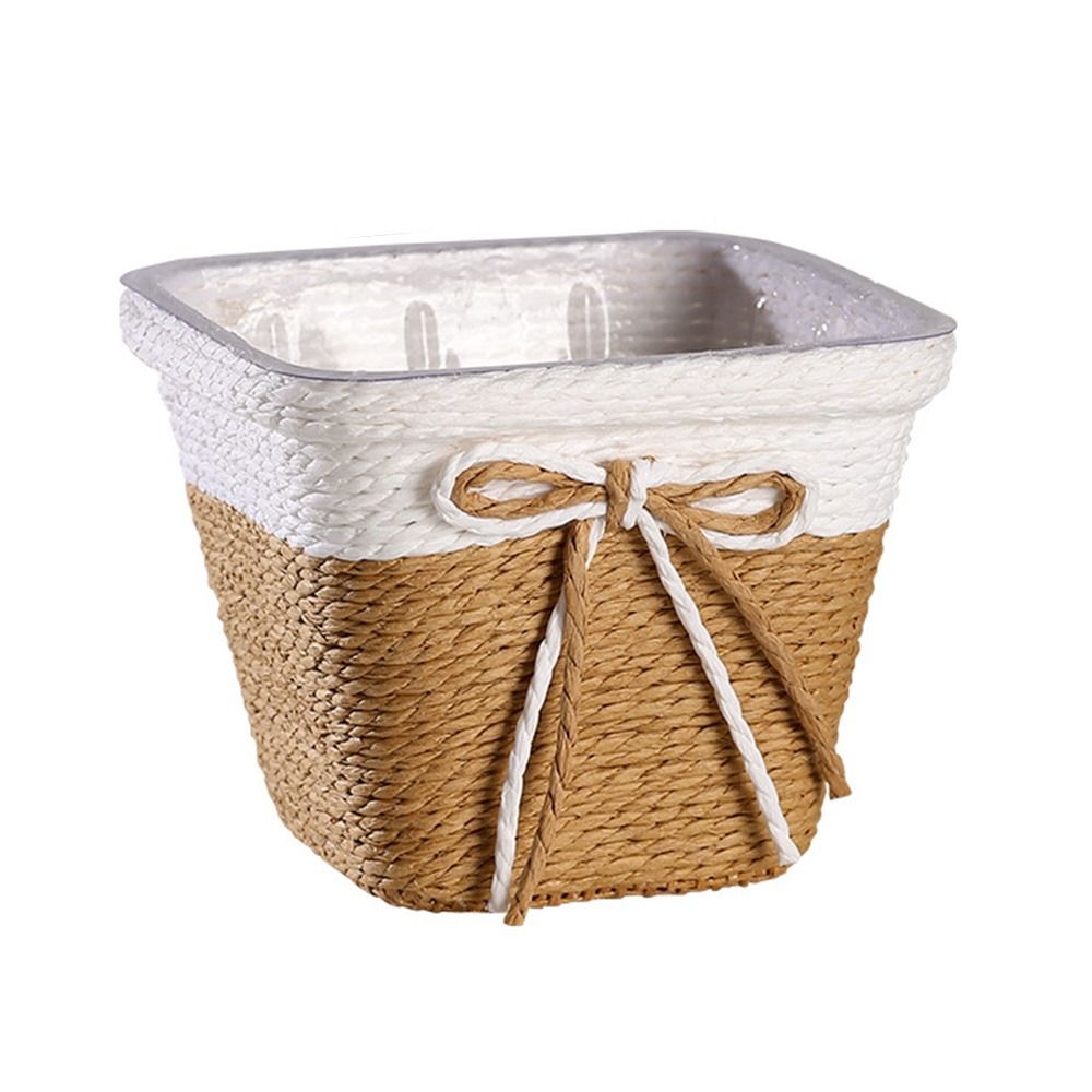Paper Rope Braided Braided Flo - Aloe Vera Pot review and price