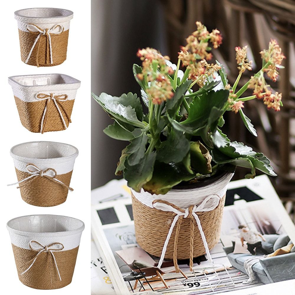 Paper Rope Braided Braided Flo - Aloe Vera Pot review and price