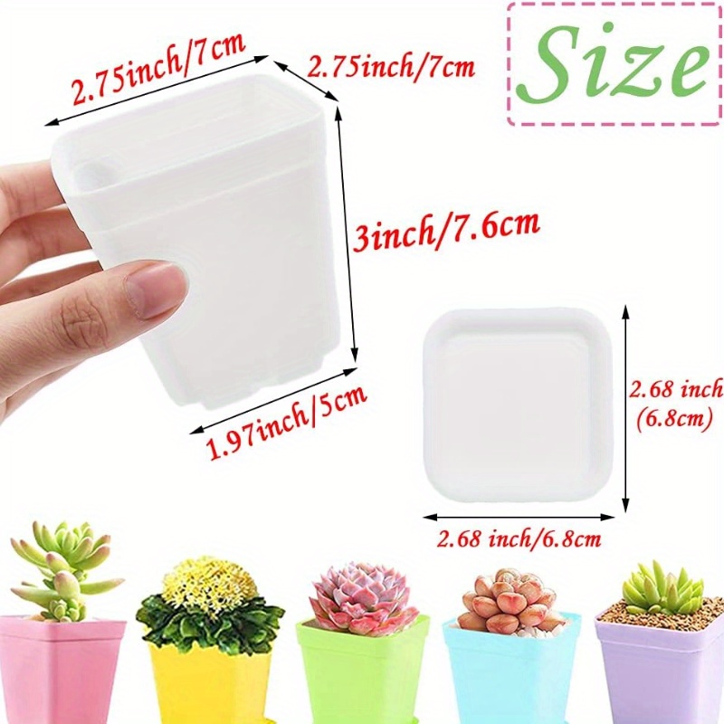 14/20/42 piece set of colorful - Echeveria Succulent review and price
