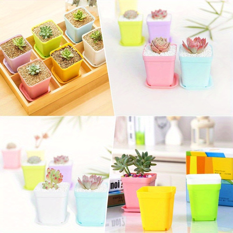 14/20/42 piece set of colorful - Echeveria Succulent review and price