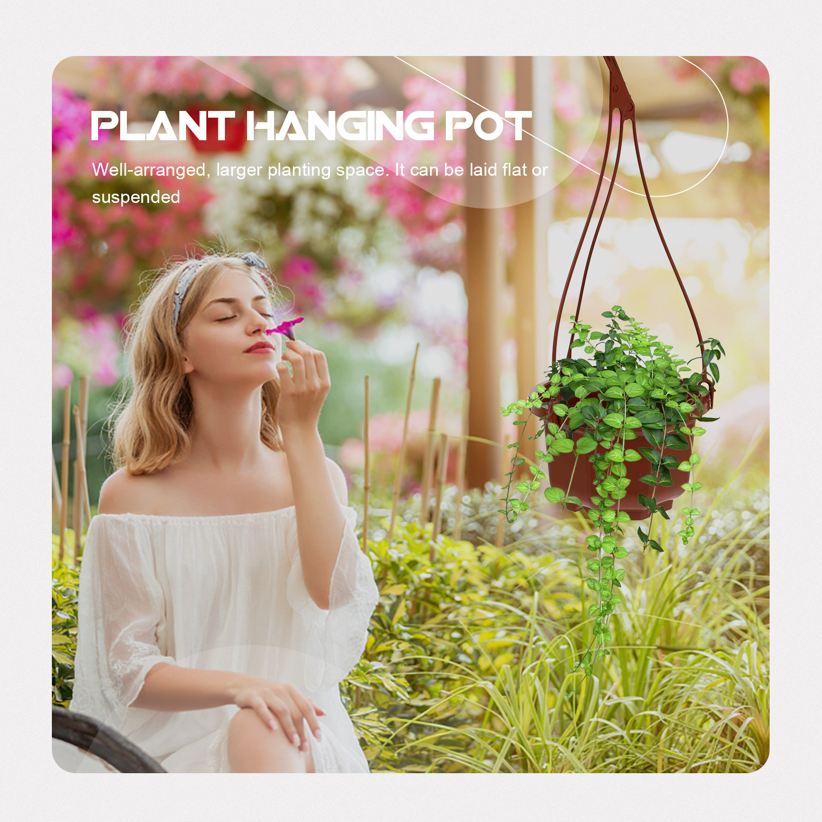 6Sets Hanging Flowerpot Creati - Spider Plant Hanging review and price