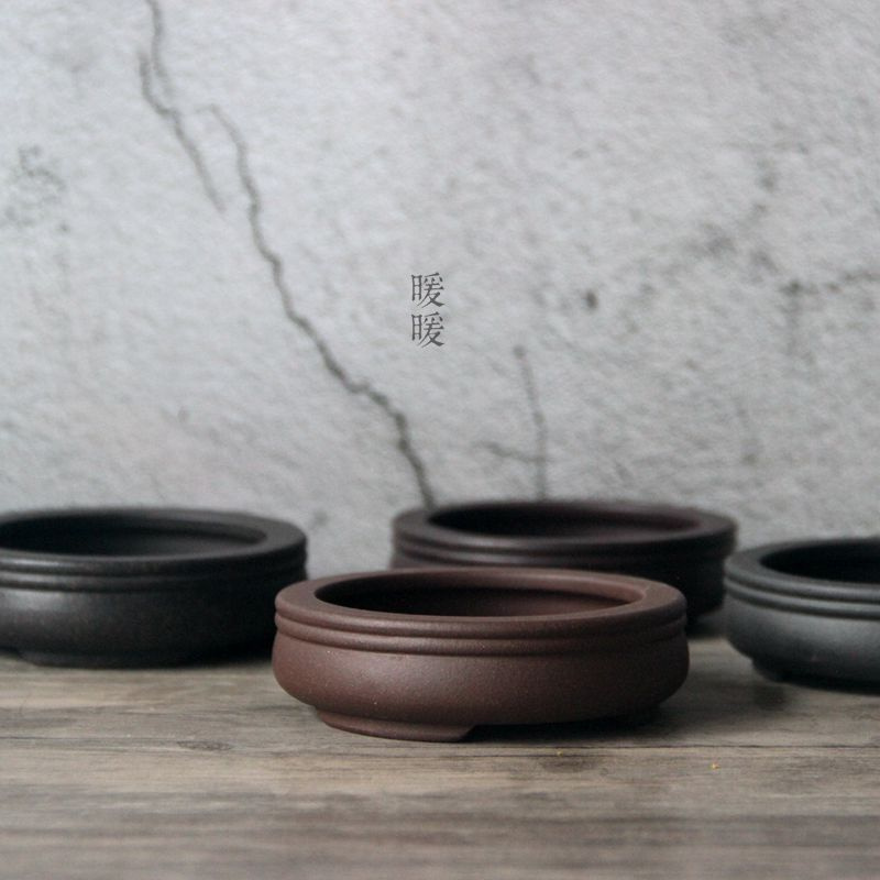 Ceramic Circle Bonsai Pot,Plat - Pilea Peperomioides review and price
