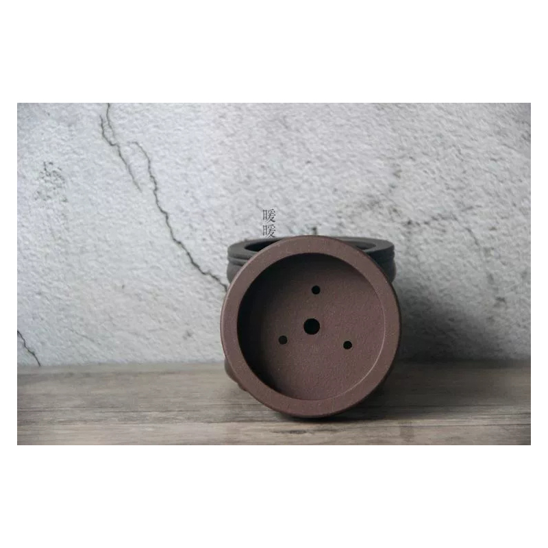 Ceramic Circle Bonsai Pot,Plat - Pilea Peperomioides review and price