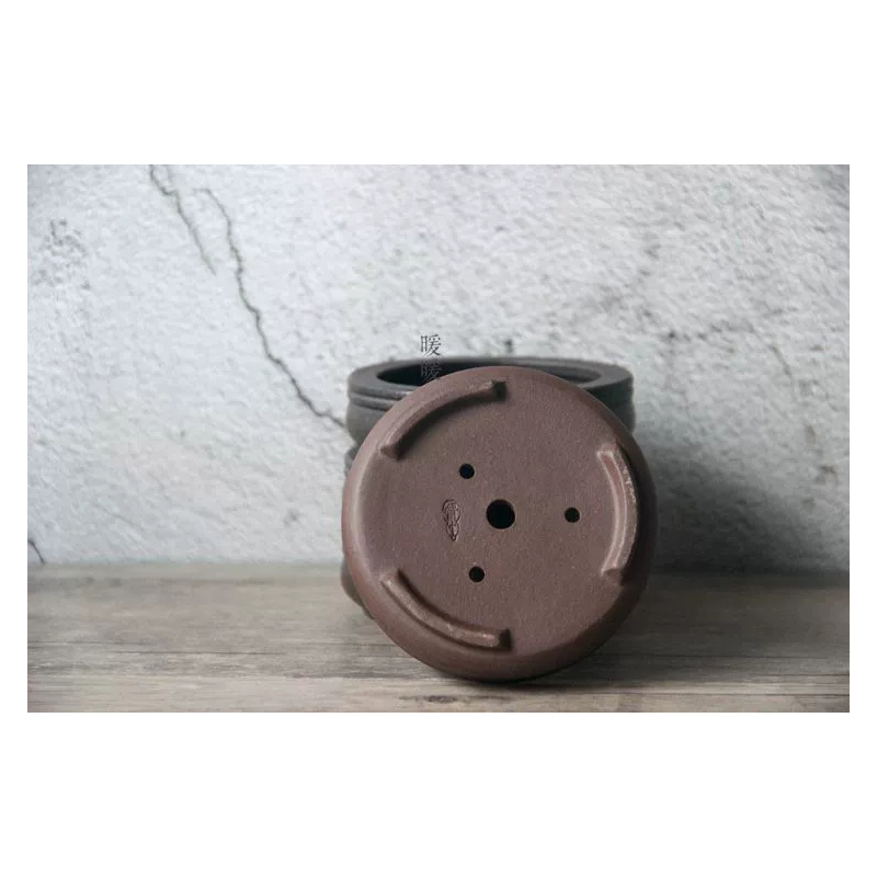 Ceramic Circle Bonsai Pot,Plat - Pilea Peperomioides review and price