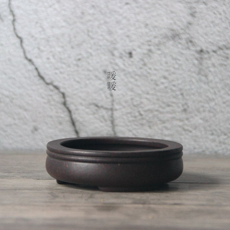 Ceramic Circle Bonsai Pot,Plat - Pilea Peperomioides review and price