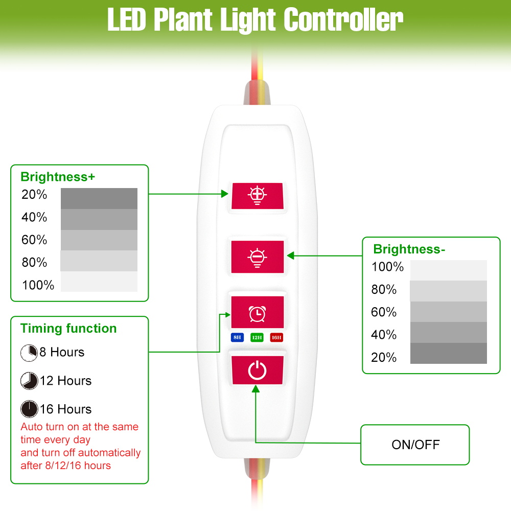 Indoor Full Spectrum Grow Ligh - Echeveria Succulent review and price
