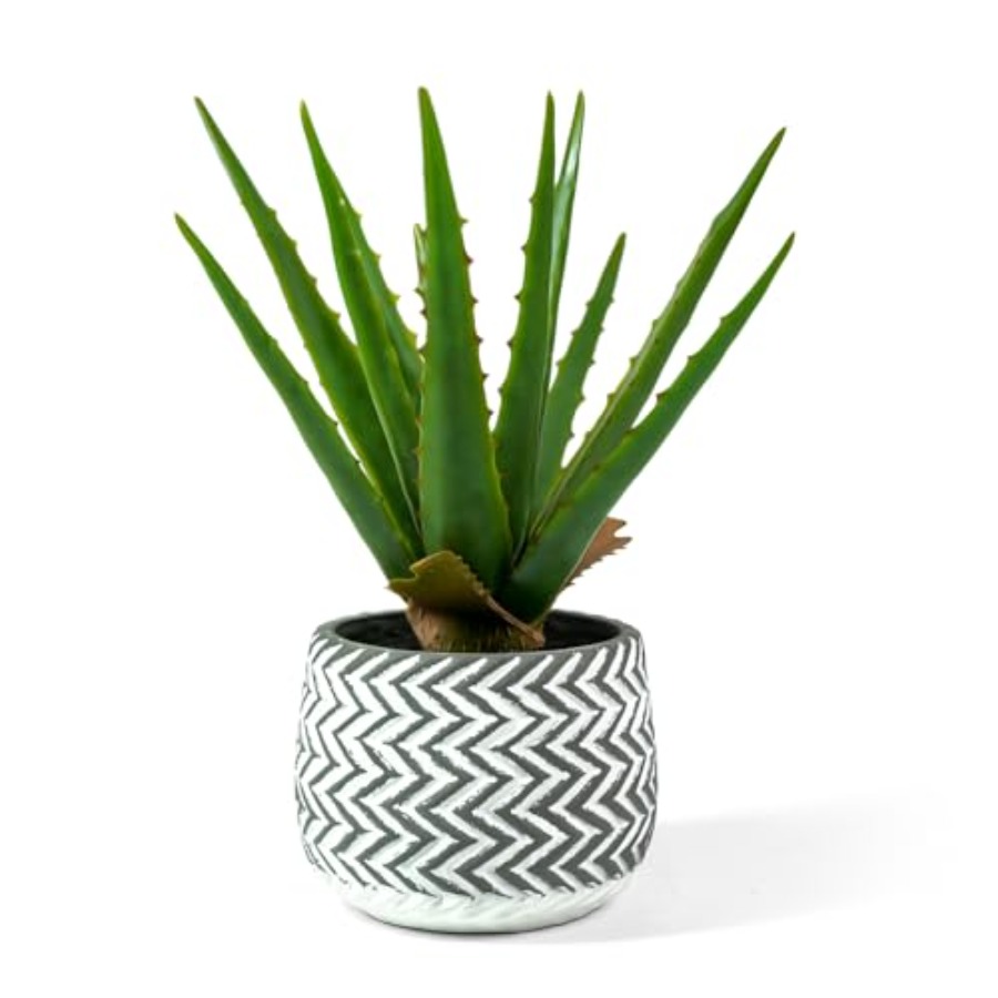 12 Artificial Aloe Vera Potted - Aloe Vera Pot review and price