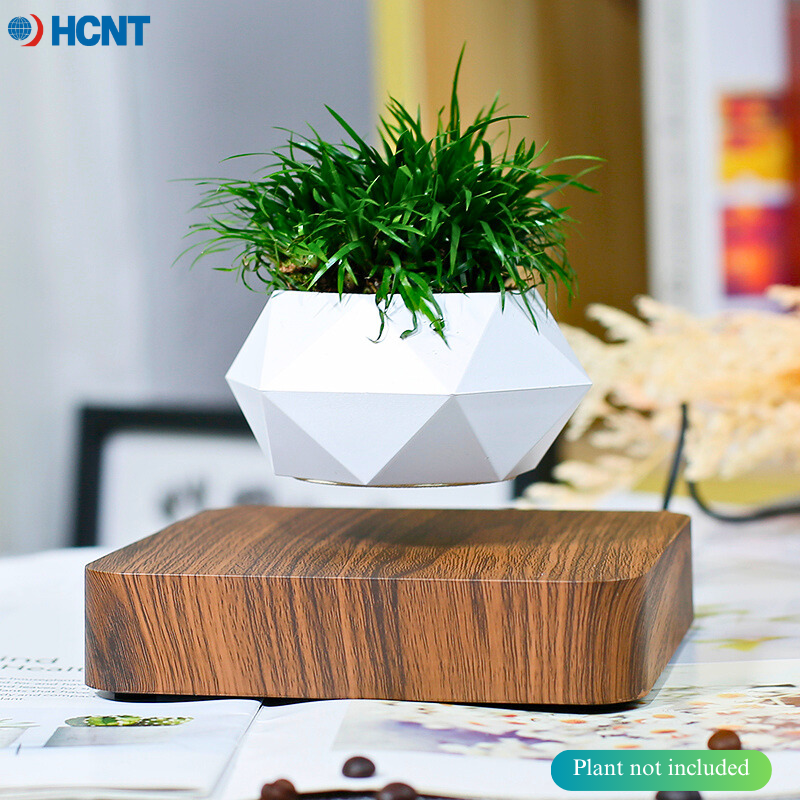 Floating Plant Pot Magnetic Le - Echeveria Succulent review and price