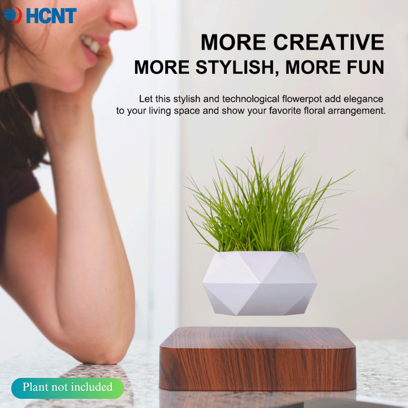 Floating Plant Pot Magnetic Le - Echeveria Succulent review and price