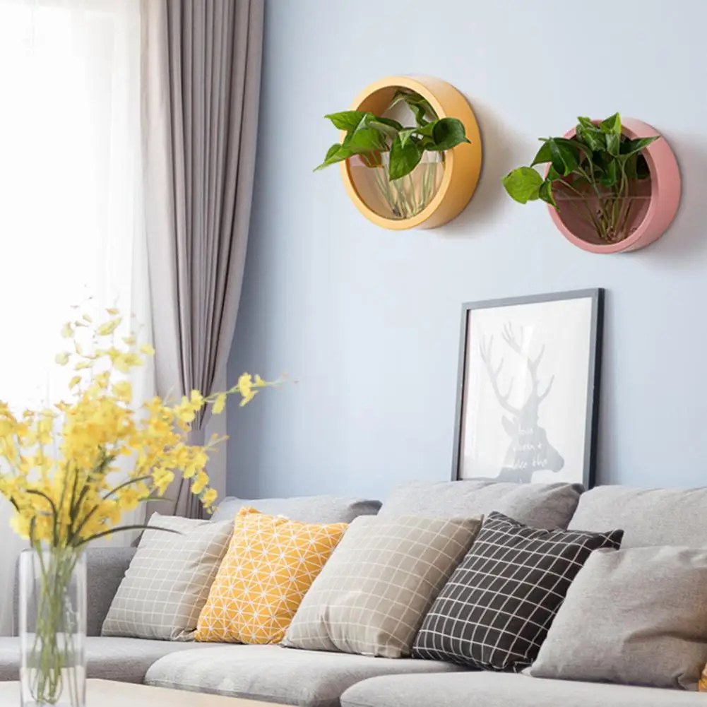 Round Succulent Planter Durabl - Echeveria Succulent review and price