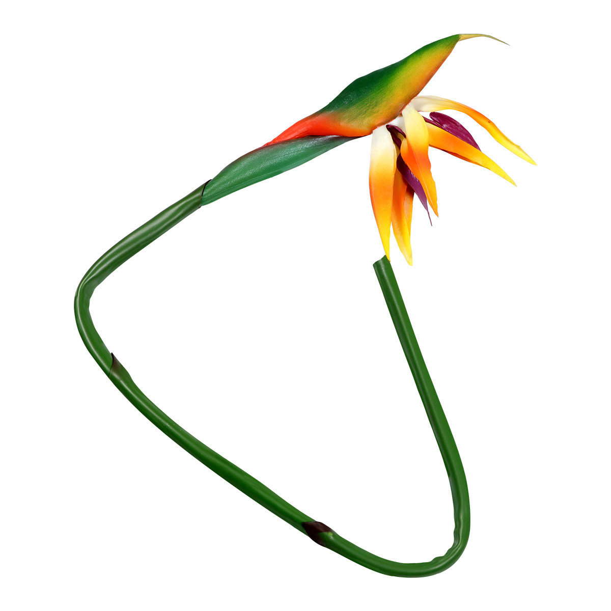 Artificial Strelitzia Bird of  - Bird Paradise Strelitzia review and price