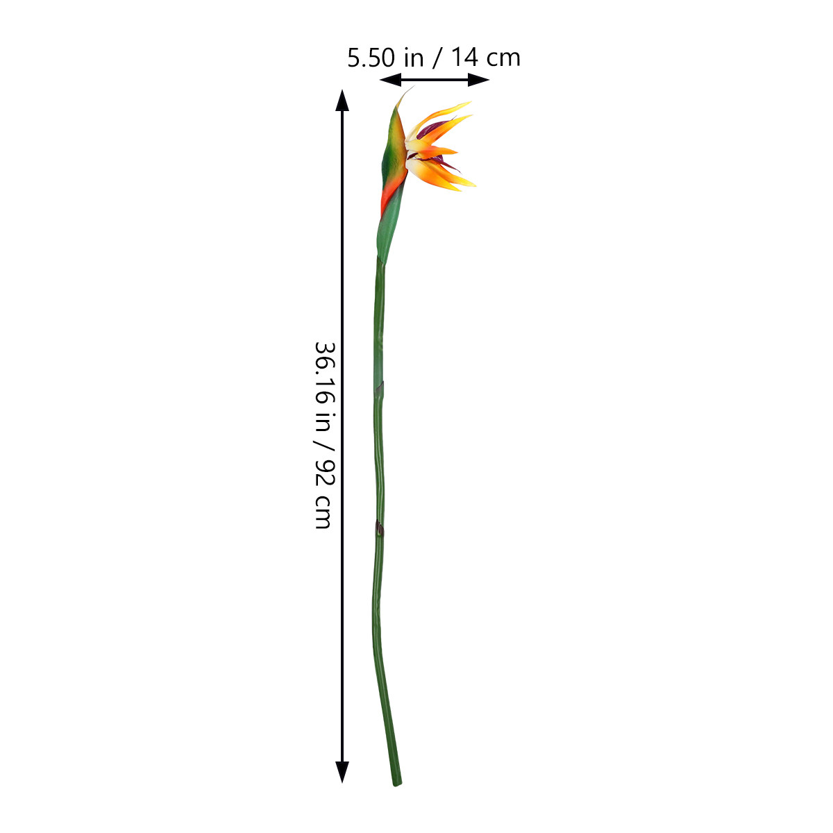 Artificial Strelitzia Bird of  - Bird Paradise Strelitzia review and price