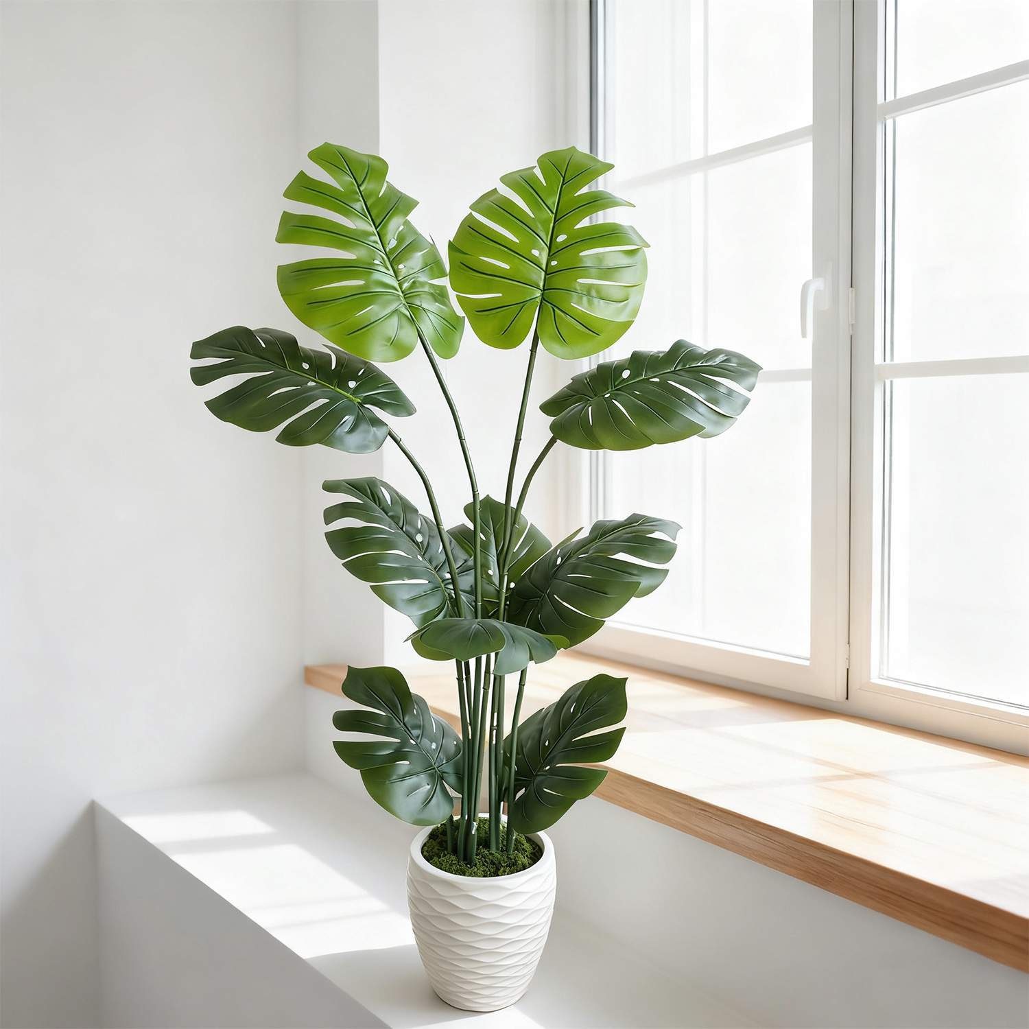 140Cm/4.6Ft Artificial Monster - Dracaena Marginata review and price