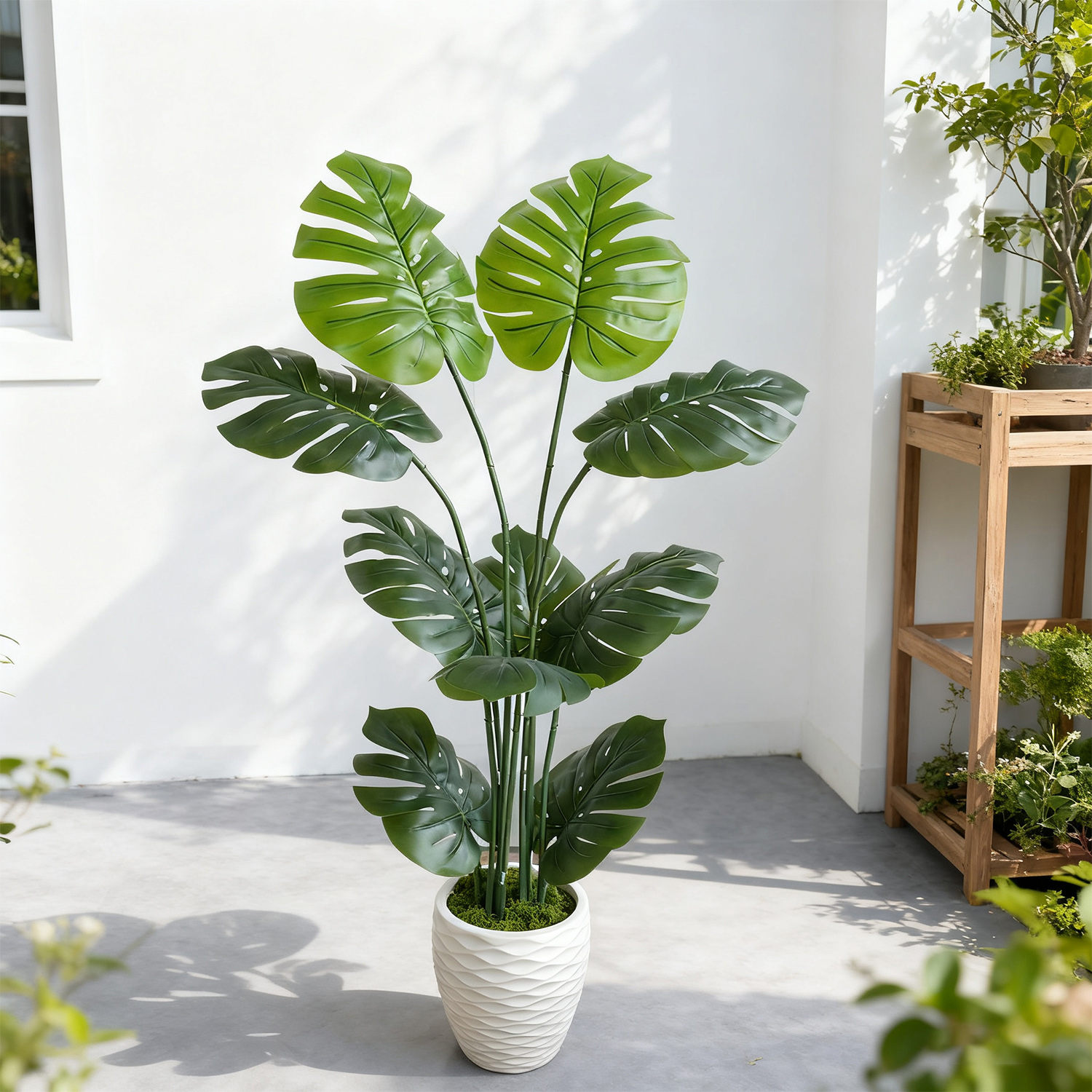 140Cm/4.6Ft Artificial Monster - Dracaena Marginata review and price